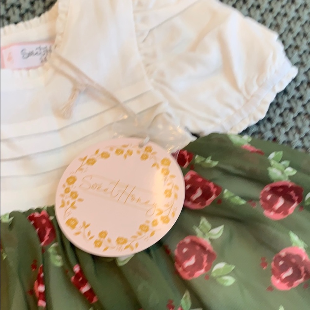 Sweet honey 18 mo dress - Picture 4 of 5